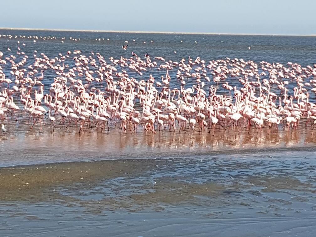 Elilo Bed And Breakfast Walvis Bay Kültér fotó