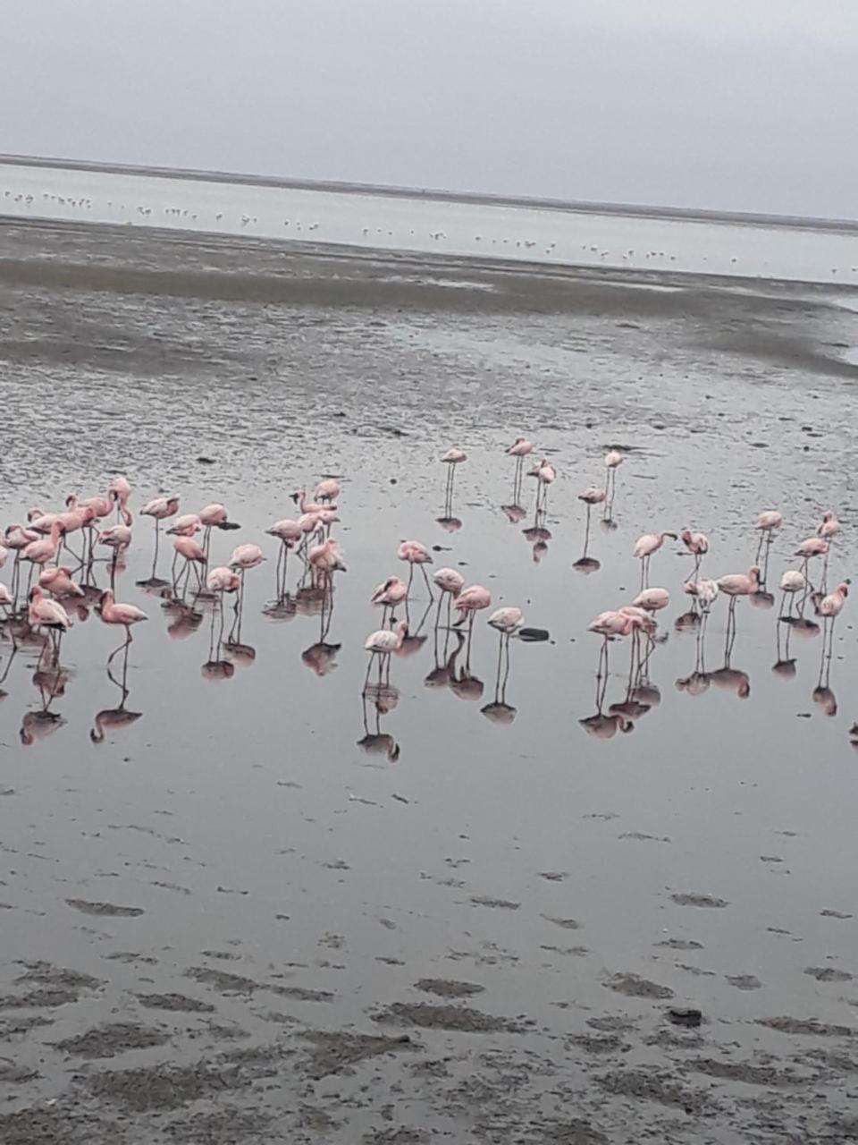 Elilo Bed And Breakfast Walvis Bay Kültér fotó